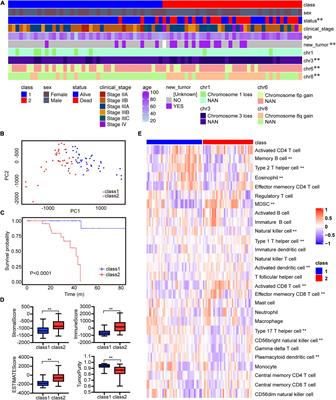 Identification of Precise Therapeutic Targets and Characteristic Prognostic Genes Based on Immune Gene Characteristics in Uveal Melanoma